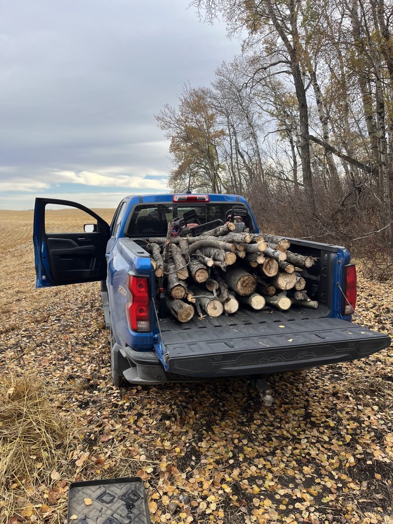 load-of-SK-poplar-and-birch